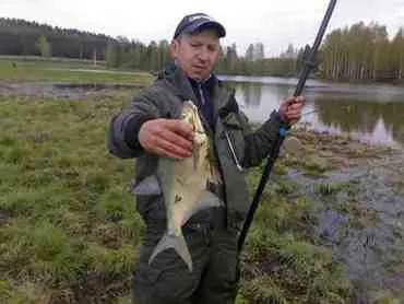 Cum de a prinde din lac plătică plătică