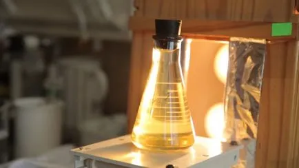 Cum am testat uleiul de floarea-soarelui