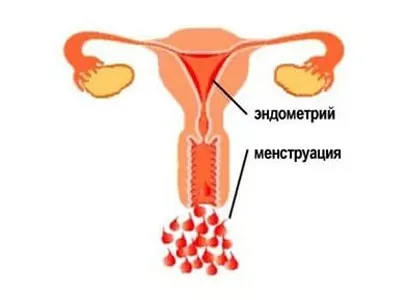 Какви цветове трябва да бъде месечна