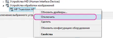 Как да изключите вградената уеб камера на проучването за лаптоп заедно онлайн