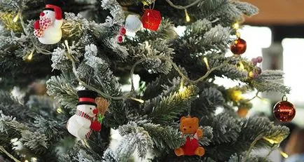 Hogyan lehet megszabadulni a karácsonyfa