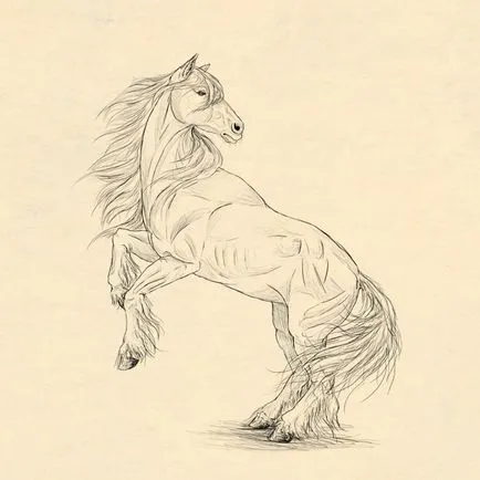 Cum de a desena un cal animale, anatomia lor și postura