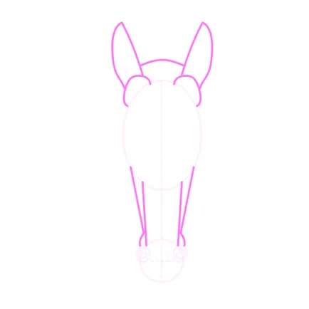 Cum de a desena un cal animale, anatomia lor și postura