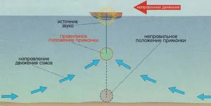 Как да си направим мърморко за сом с ръцете си, инструкции със снимки