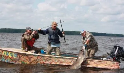 Hogyan készítsünk egy croaker harcsa kezeddel, utasítások fotókkal