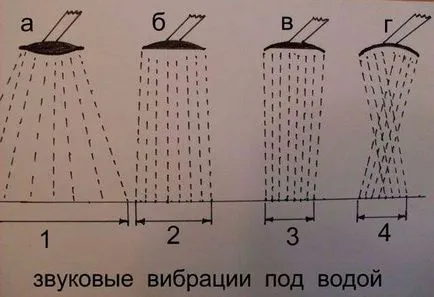 Hogyan készítsünk egy croaker harcsa kezeddel, utasítások fotókkal