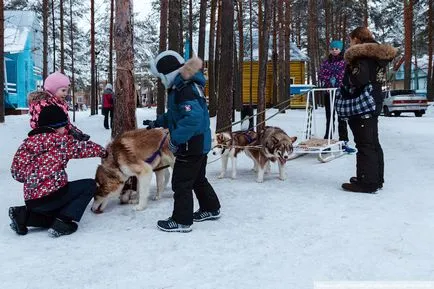 Как да отида до Дядо Коледа в Голямата Ustyug