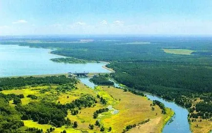 Hogyan építsünk egy tartályt Vileyskoye