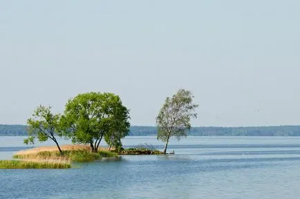 Cum de a construi un rezervor Vileyskoye