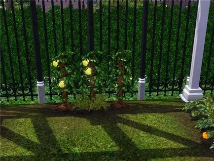 Hogyan lesz halhatatlan a Sims 3 különböző módon