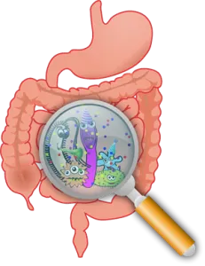 Cum de a restabili microflorei intestinale după otrăviri - trăi sănătos