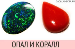 Pietre greutăți opal și coral