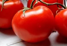 Tomate comentarii explozie și fotografiile care au plantat descrierea și caracterizarea soiurilor de tomate, precum și cele