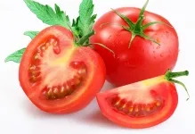 Tomate comentarii explozie și fotografiile care au plantat descrierea și caracterizarea soiurilor de tomate, precum și cele