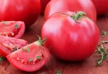 Tomate comentarii explozie și fotografiile care au plantat descrierea și caracterizarea soiurilor de tomate, precum și cele