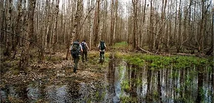 Technika leküzdeni a mocsarak a kampány