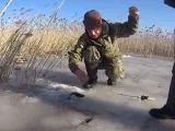 Kárász - pontyhorgászathoz videó