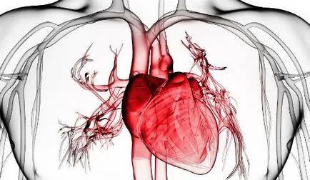 ciroză cardiacă este de așa natură încât, simptome și tratament