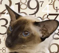 Pisica Poreclă pe semnul zodiacal, elementele de bază numerologie