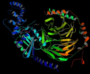 Sejt-receptor - az