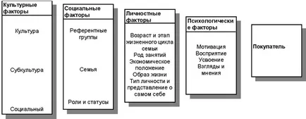 Cultura ca factor în comportamentul de consum - Sunt un student!