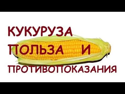 Царевица Бондюел ползи и вреди, колко и как да се готвя