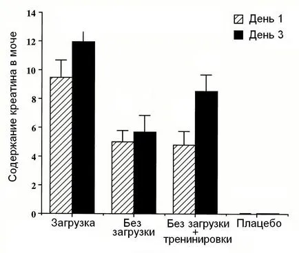 Kreatin sporttevékenységek