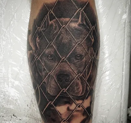 Cine ar fi crezut că valoarea unui tatuaj pit bull este un semn de avertizare