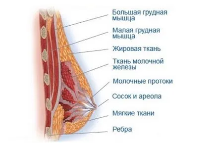 Lymphostasis kezek eltávolítása után a mell - különösen mastectomia