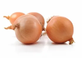 Onion кора за боядисване на коса и укрепване