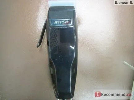 Clipper Мозер животните Мозер рекс 1233-0061 - «Мозер