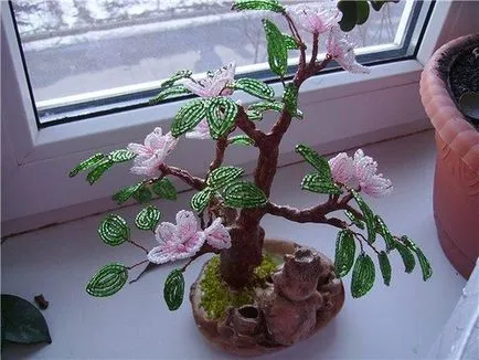Master Class gyöngy fa (virágzás őszibarack)