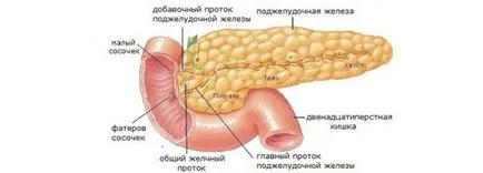 Мога ли да имам питка със загуба на тегло