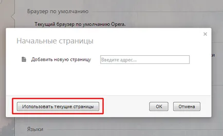 настройките на браузъра опера - преглед на функции и опции