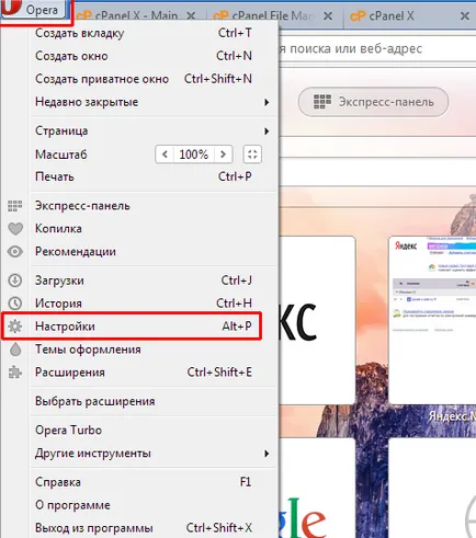 настройките на браузъра опера - преглед на функции и опции