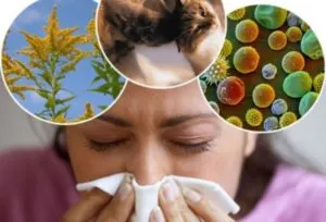 Да задължи алергени - функции и как да се предпазите от алергии