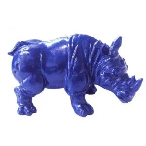 Rhino pe Feng Shui