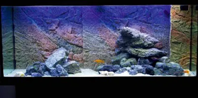 аквариум украса за Танганайка цихлиди