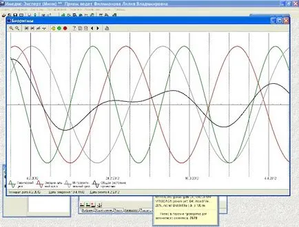 Examinarea punctelor meridiane biologic active prin tratarea de purificare a organismului