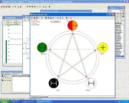 Examinarea punctelor meridiane biologic active prin tratarea de purificare a organismului