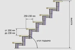 изисквания на стълби килим довършителни (снимка)