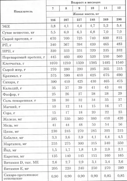 Основи хранене млади говеда