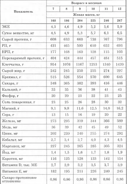 Основи хранене млади говеда