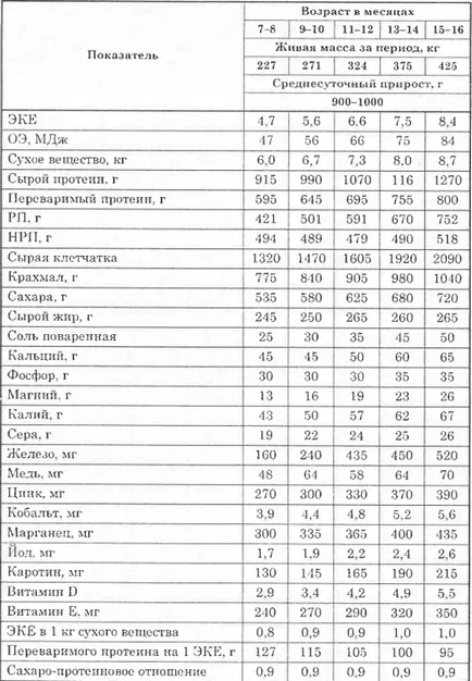 Основи хранене млади говеда