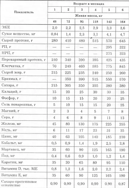 Основи хранене млади говеда