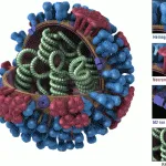 Ahol nem az influenza vírus információkat és üzeneteket az Egészségügyi Minisztérium