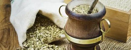 Paraguayan ceai Holly plantelor, proprietățile utile ale băuturii de ilice