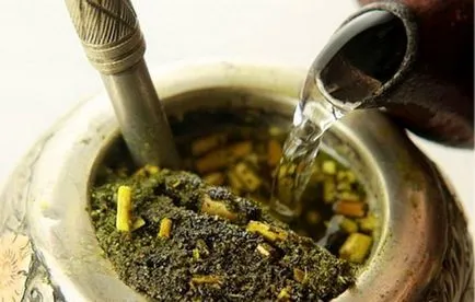 Парагвайски чай Холи растение, на полезните свойства на напитката на Холи