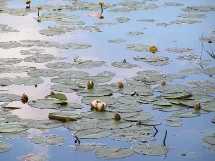 Lake Svetloyar, Nyizsnyij Novgorod régióban