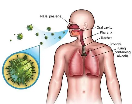 Ahol nem az influenza vírus információkat és üzeneteket az Egészségügyi Minisztérium